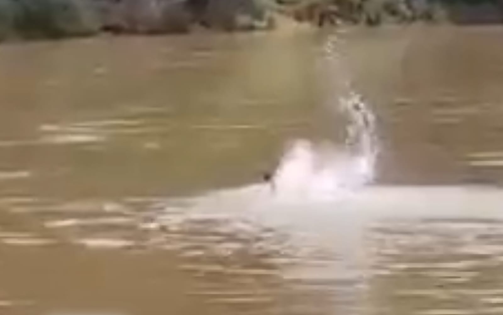 Filmagem mostra homem desesperado lutando contra correnteza do Rio Piracicaba