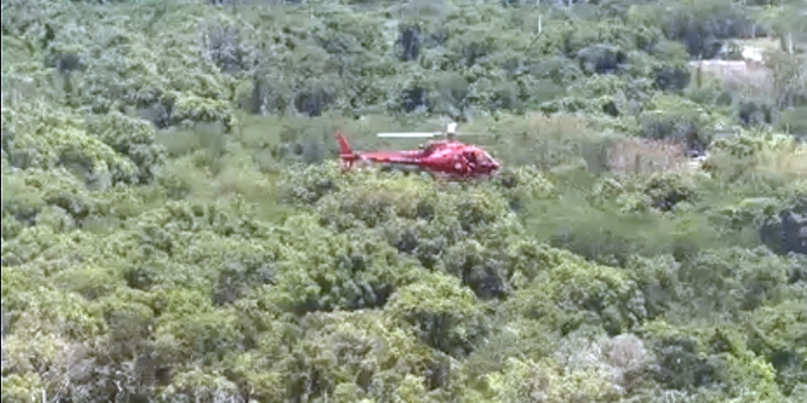 Helicóptero cai em área de mata no Rio e mata três pessoas