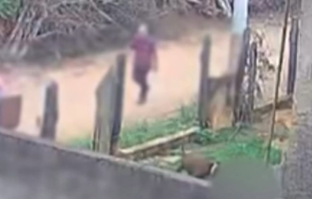 Bebê de 11 meses morre após ataque de pitbull; câmera registrou a cena