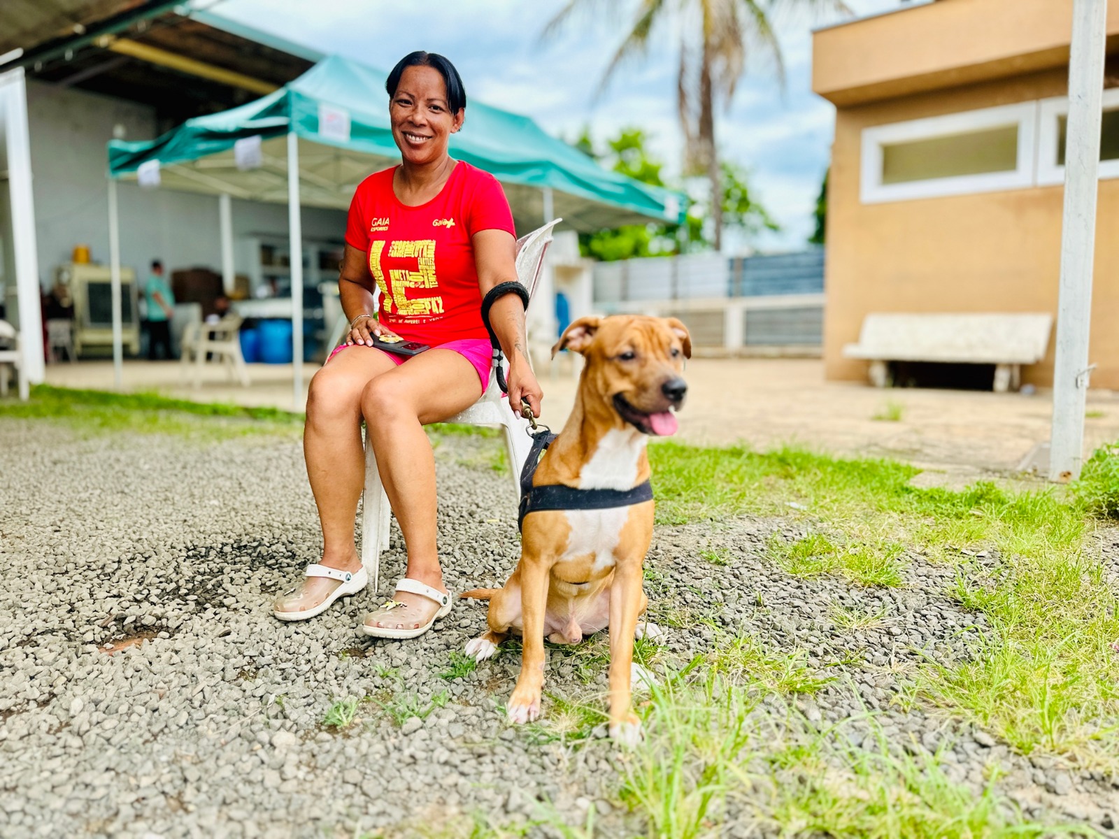 Prefeitura de Piracicaba realiza mutirão de castrações; 1.200 vagas já foram preenchidas