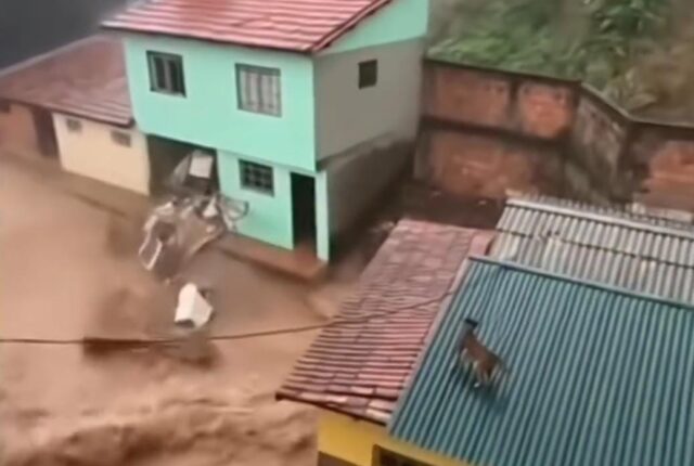 Chuvas intensas deixam 59 mortos em Minas Gerais; número de vítimas pode aumentar