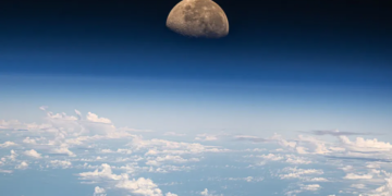 © X / @dominickmatthew