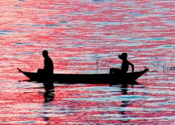 © Divulgação TV Brasil