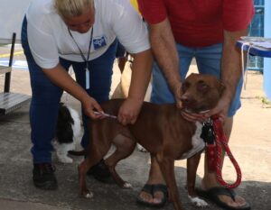 WhatsApp Image 2026-03-13 at 17.43.01