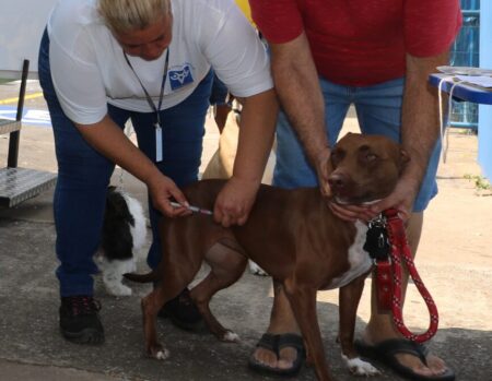 WhatsApp Image 2026-03-13 at 17.43.01