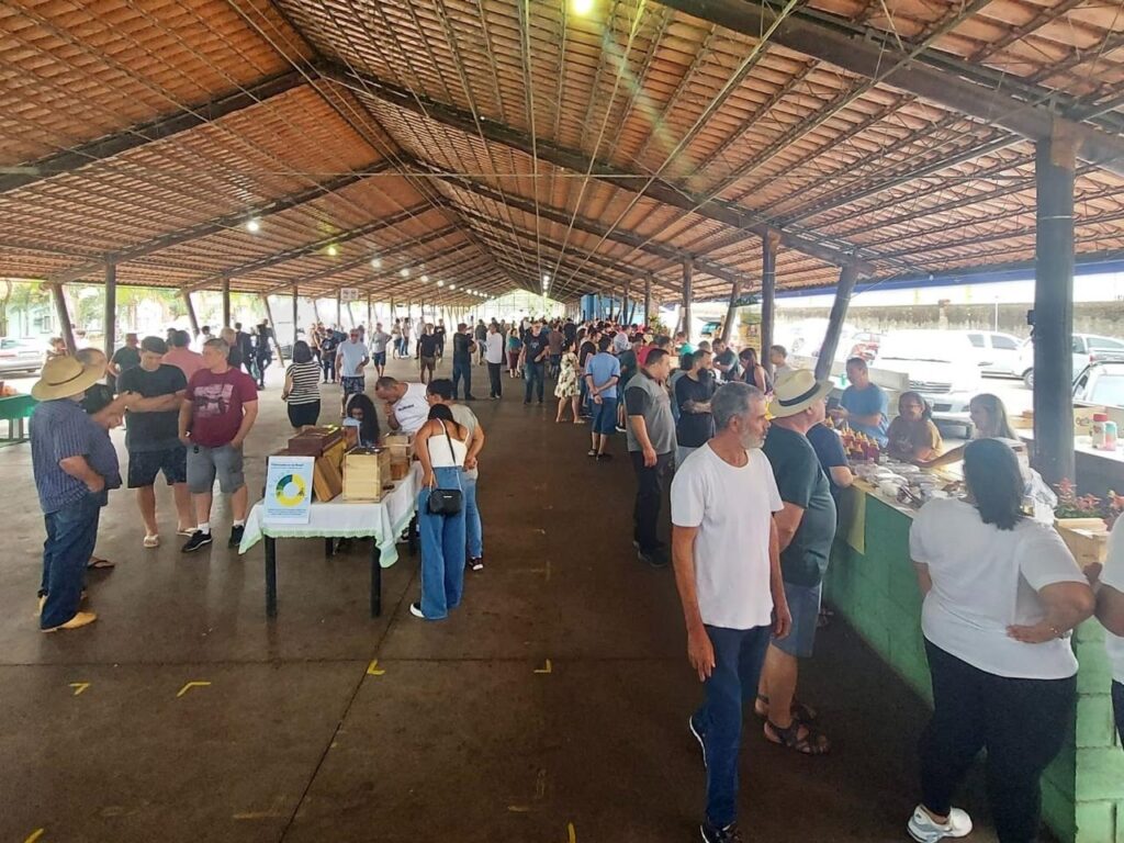 Varejão da Paulista recebe encontro de meliponicultura urbana