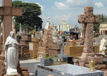 Com novos casos, número de gatos mortos subiu para 33 em menos de um mês - Foto: Arquivo / Camara de Vereadores de Piracicaba