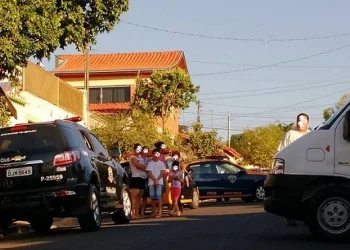 Foto: Wagner Romano / PIRANOT