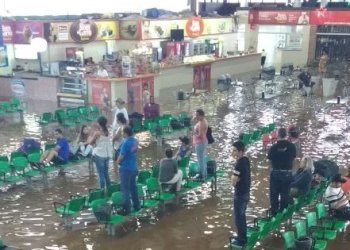 Foto: Você no PIRANOT