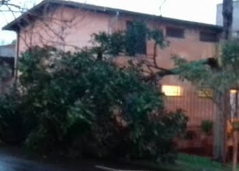 Foto: Ana Cristina Silva / Você no PIRANOT