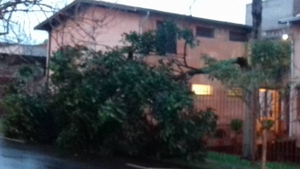 Temporal derruba árvore e deixa rua sem energia em Piracicaba
