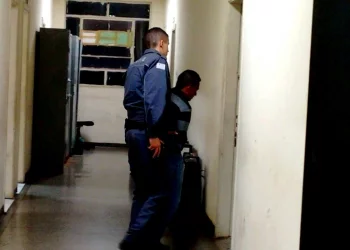 Foto: Valter Martins / PIRANOT