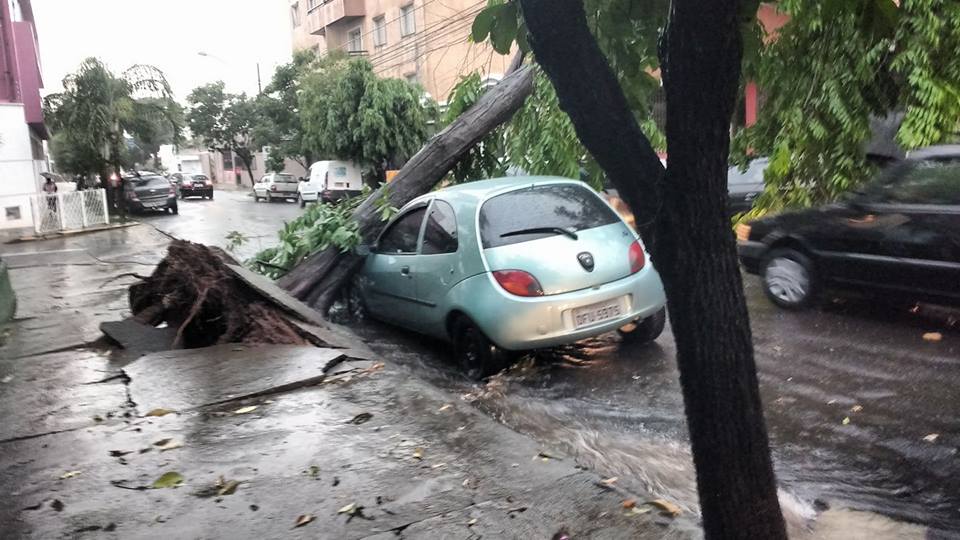 Temporal deixa rastro de destruição e faz nível do rio Piracicaba subir