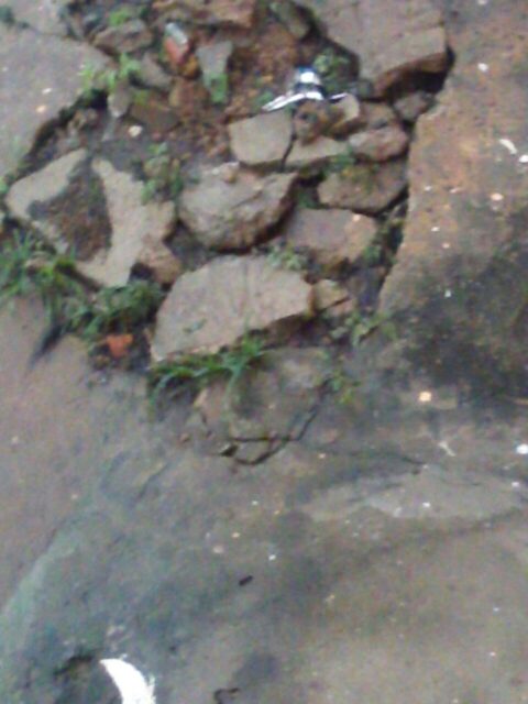 Foto: Arquivo Pessoal