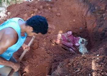 policia, piracicaba, homem enterrado, idoso, eldorado, crime, mulher matou homem no eldorado, destaque1