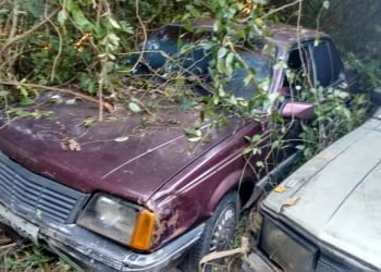 Foto: Valter Martins / Piracicaba em Alerta