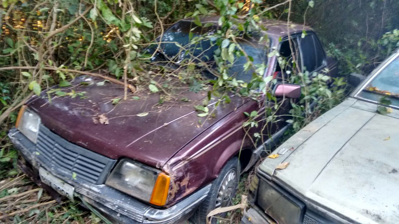 Foto: Valter Martins / Piracicaba em Alerta