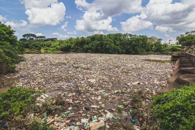 Foto: Jose Eduardo Angelini Milani / Reprodução - Facebook