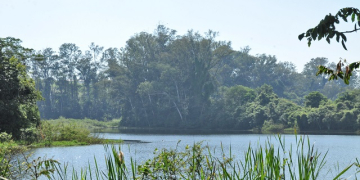 Foto: Justino Lucente/CCS