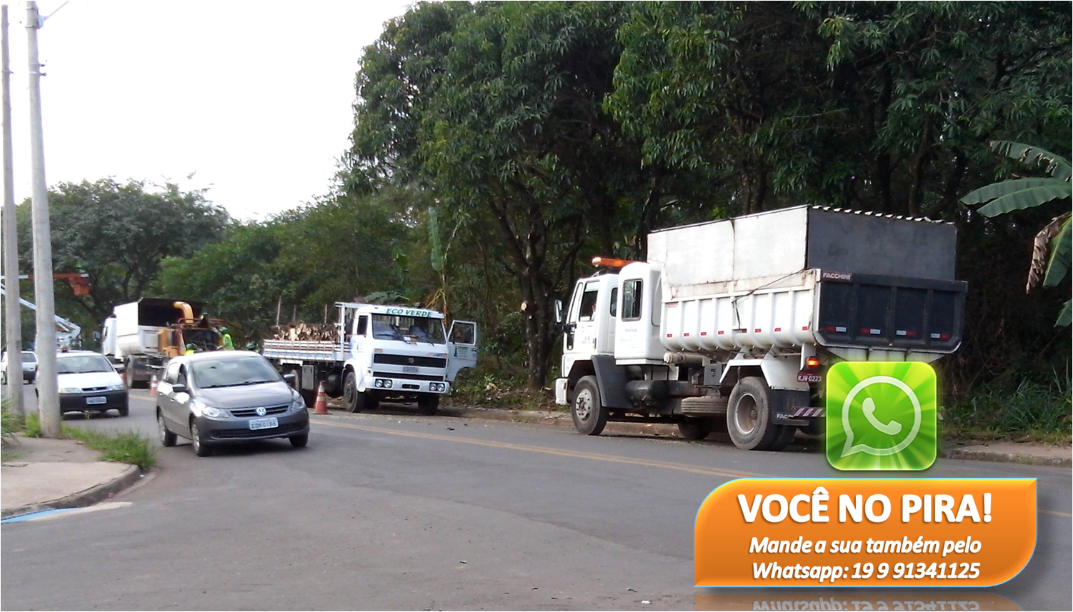 Você no Pira: Internauta flaga podas de árvores no Santa Rosa