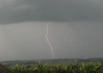 Foto: Heloisa Karklis / Você no PIRANOT