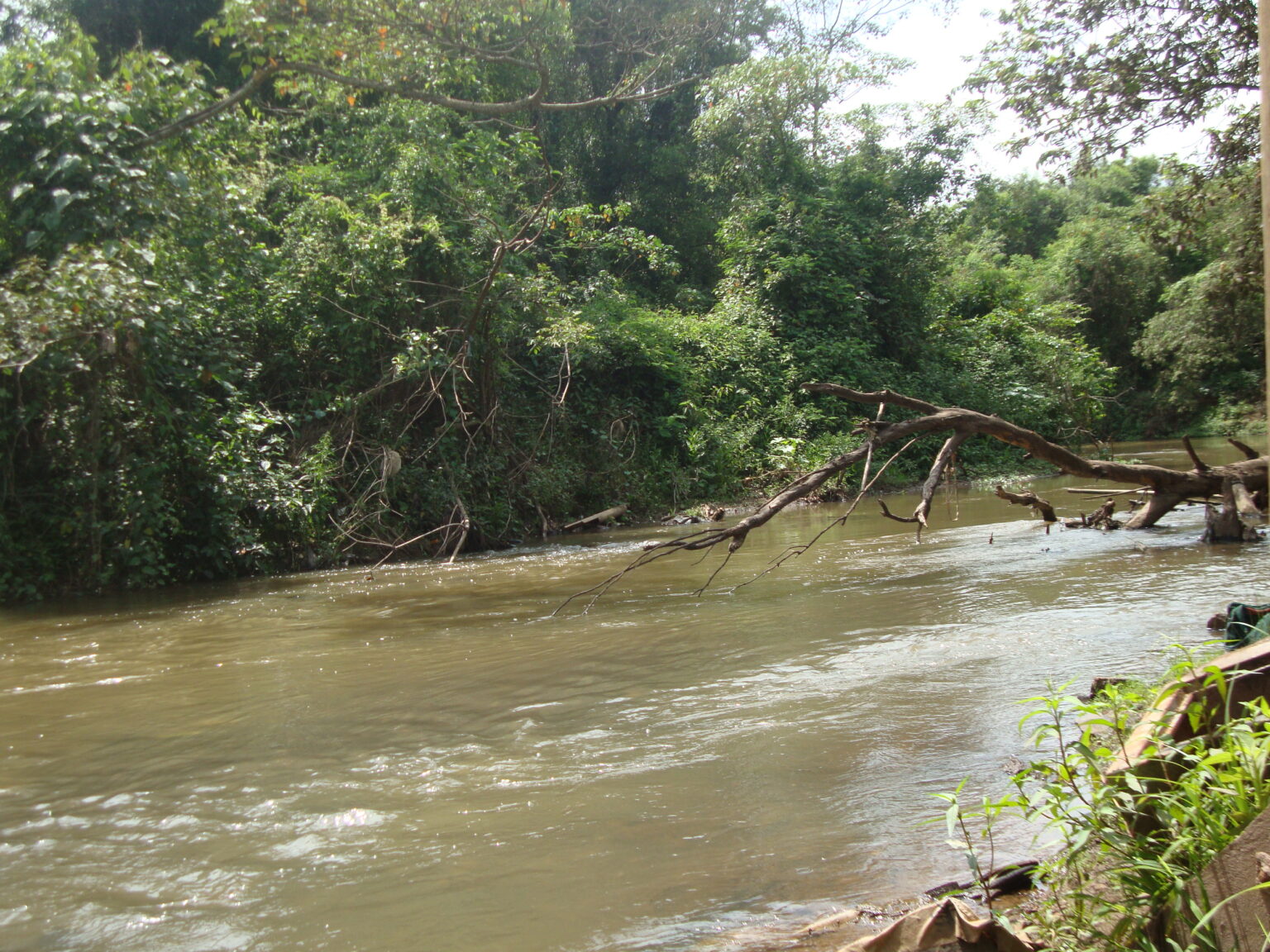 Adolescente morreu no Rio CorumbataÃ­ - Foto: ReproduÃ§Ã£o / Juninho Lopes