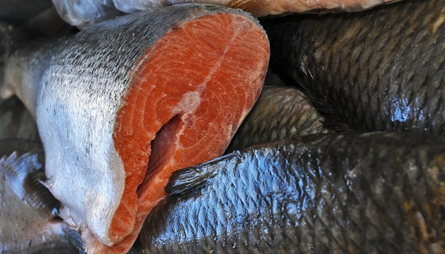 Varejão Municipal de Piracicaba oferece pescados com economia entre 10% e 20%