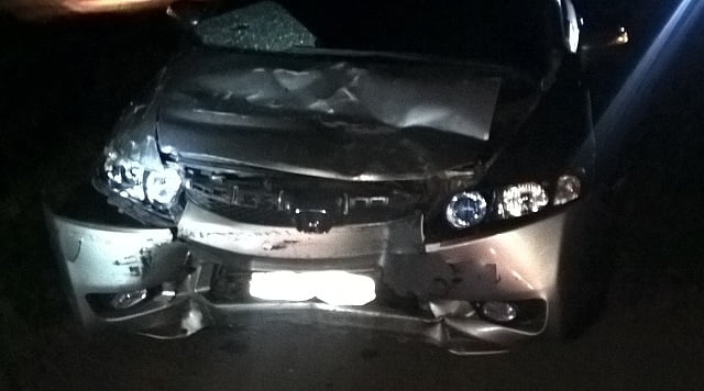 Foto: Junior Cardoso / PIRANOT