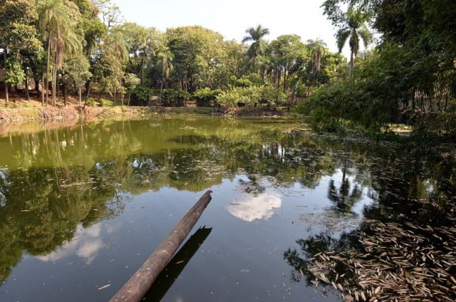 Antigo zoo de Limeira dará espaço a novo parque urbano