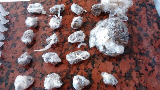 Foto: Valter Martins / Piracicaba em Alerta