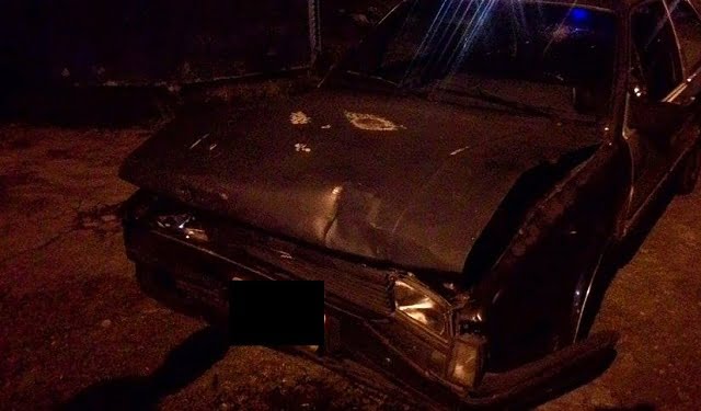 Foto: Wagner Romano / PIRANOT