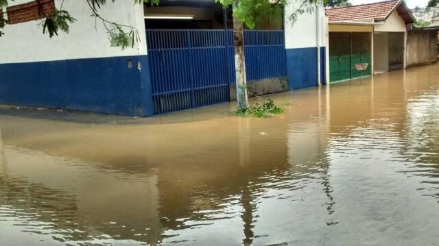 Bosque da Água Branca - Foto: Maria Inez Pereira Martins / Você no Pira