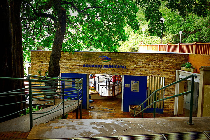 Desde 2012, 500 mil visitaram o Aquário Municipal de Piracicaba