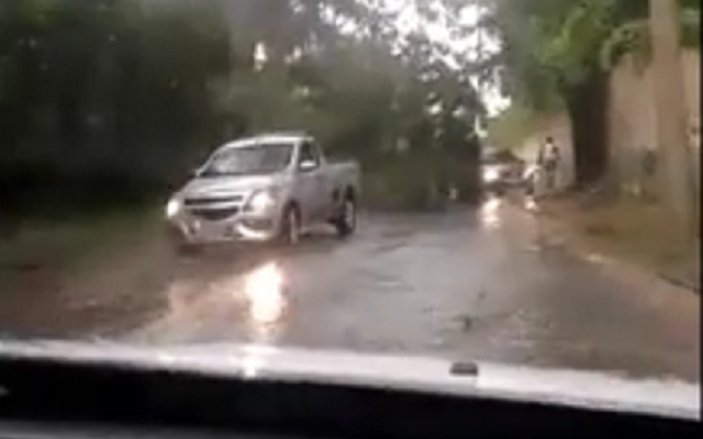 Queda de árvore interrompe estrada em Piracicaba