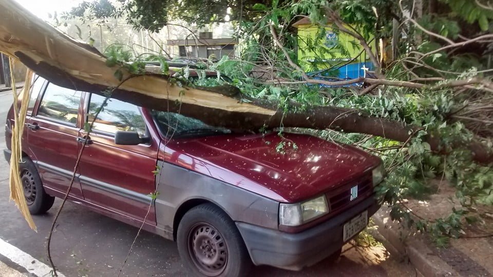Árvore cai sobre três carros no Mirante, em Piracicaba