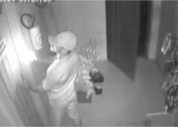 Rapaz negou ser o autor do crime - Foto: Reprodução / Whatsapp