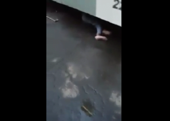 Foto: Reprodução / Facebook