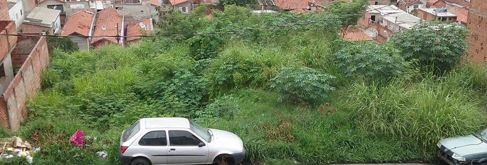 No Jardim São Paulo, em Piracicaba, terreno abandonado incomoda vizinhos