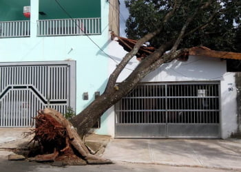 Foto: JÃºnior Cardoso / PiraNOT Piracicaba