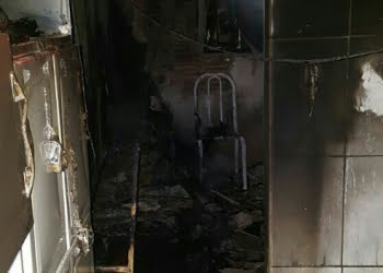 Foto: Colaboradores PIRANOT