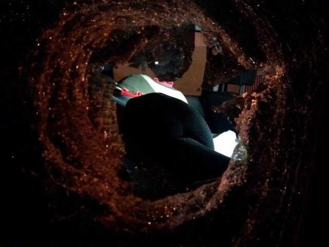 Foto: Valter Martins / PIRANOT