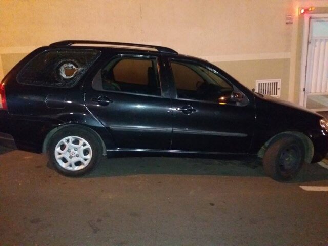 Foto: Valter Martins / PIRANOT