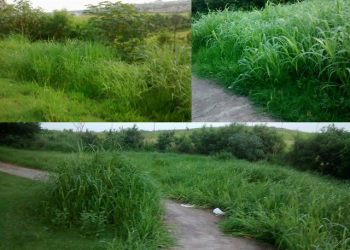 Foto: Meu bairro no Pira