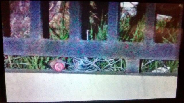 Foto: Valter Martins / Piracicaba em Alerta