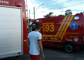 Foto: Valter Martins / PIRANOT