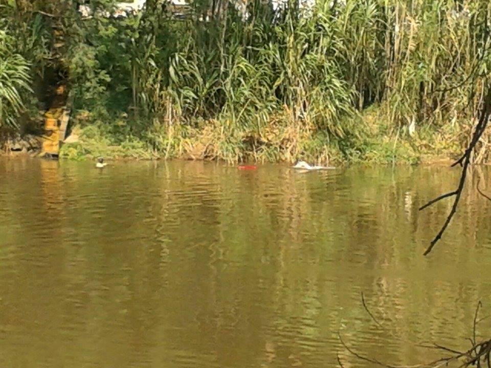 Mulher desaparecida é encontrada morta no rio Piracicaba