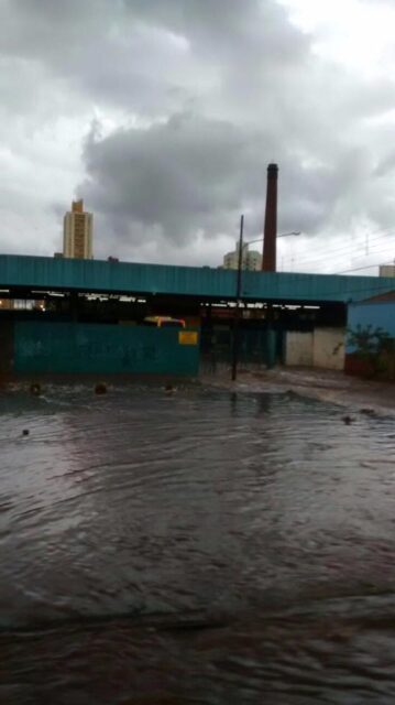 Foto: Rodrigo Bortoleto / Você no Pira