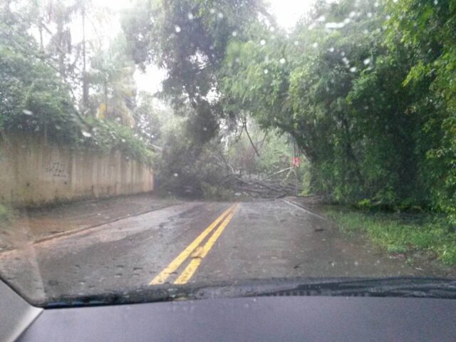 Foto: Diego Nalin / Você no Pira