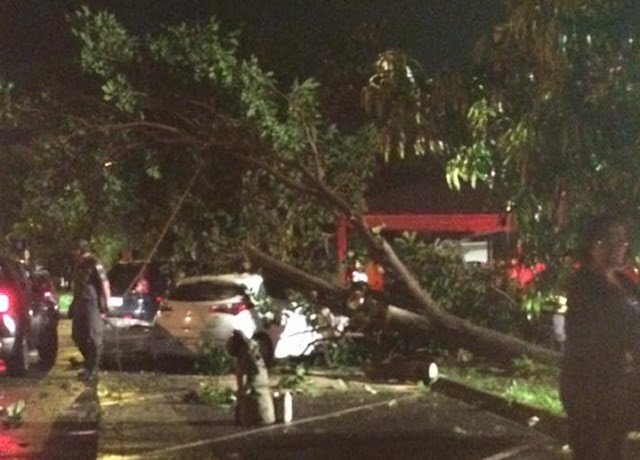 Em Piracicaba, árvore cai em cima de um HB20