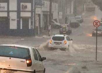 Foto: João Victor / PIRANOT